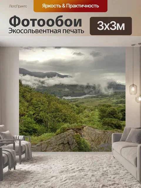 Фотообои Вырубка леса
