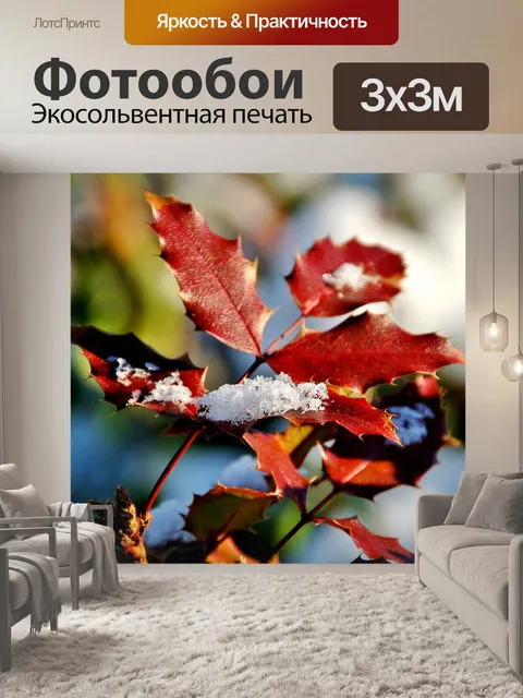 Фотообои Зима