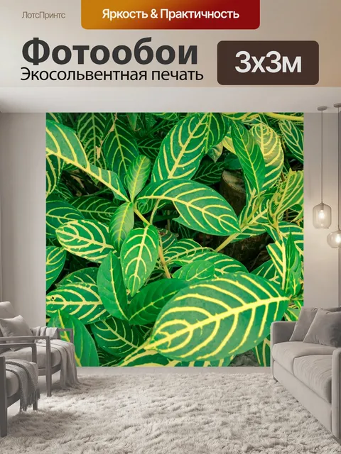 Фотообои листья кротона