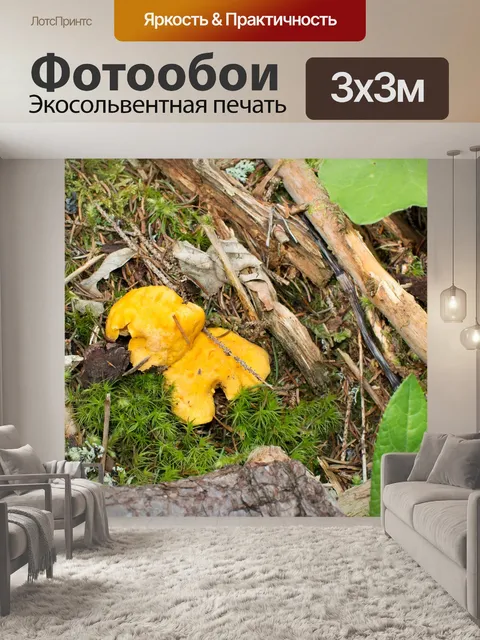 Фотообои Грибы