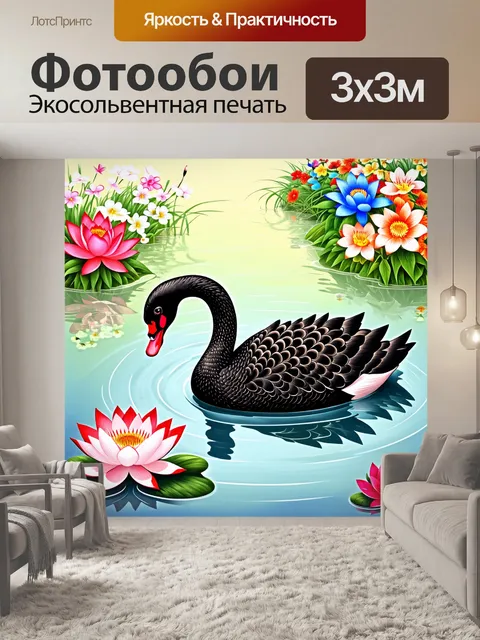 Фотообои черный лебедь, который ест из пруда, окруженный пестрыми цветами и утяжеленным лотосом