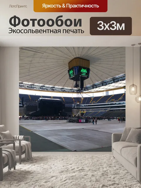 Фотообои Концерт