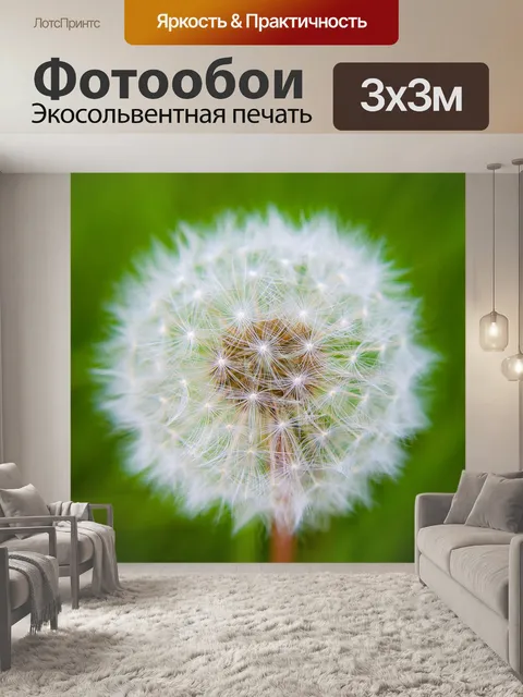 Фотообои Одуванчик