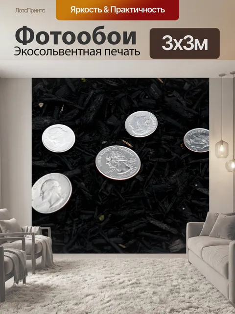 Фотообои Монеты