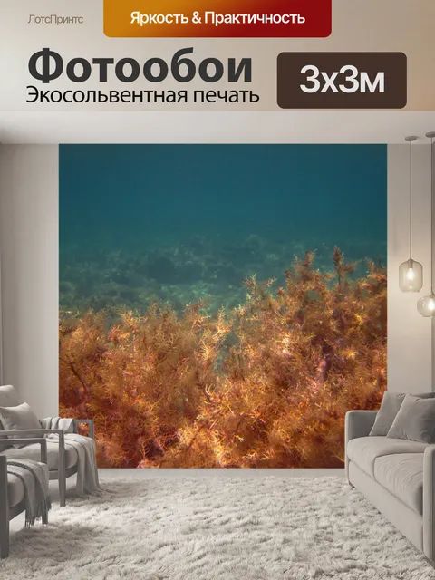 Фотообои Водоросли в sea