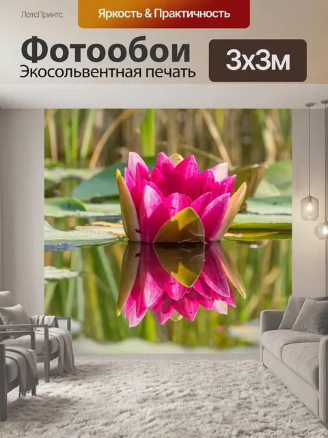 Фотообои Цветок