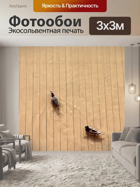 Фотообои Утки