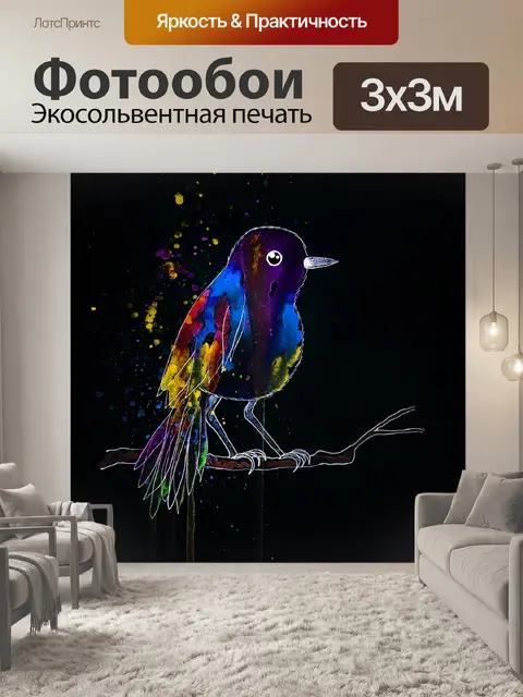 Фотообои птица, перья, маленькая птица, фауна,
