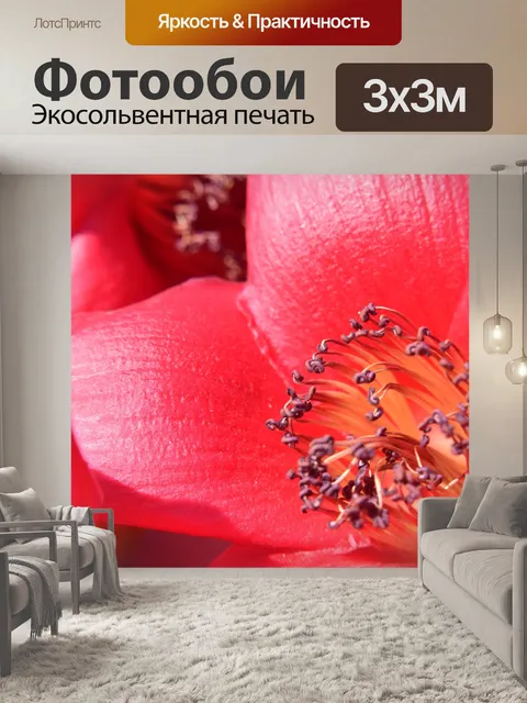 Фотообои Шелковый хлопок цветок 2