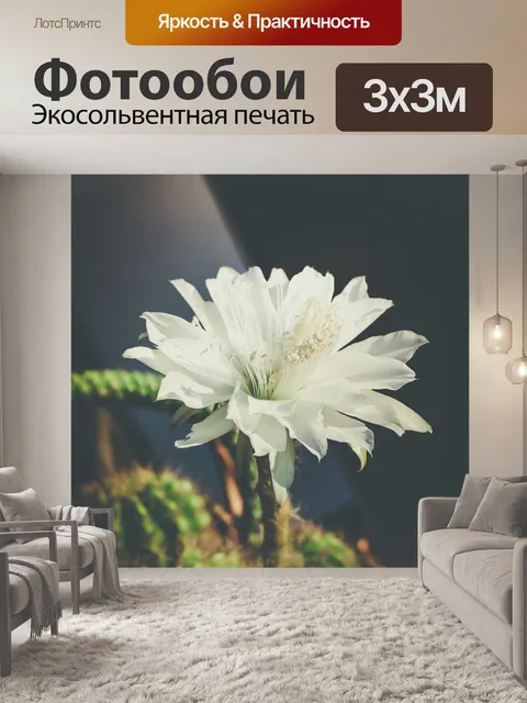 Фотообои Цветок