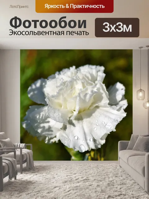 Фотообои Гвоздика