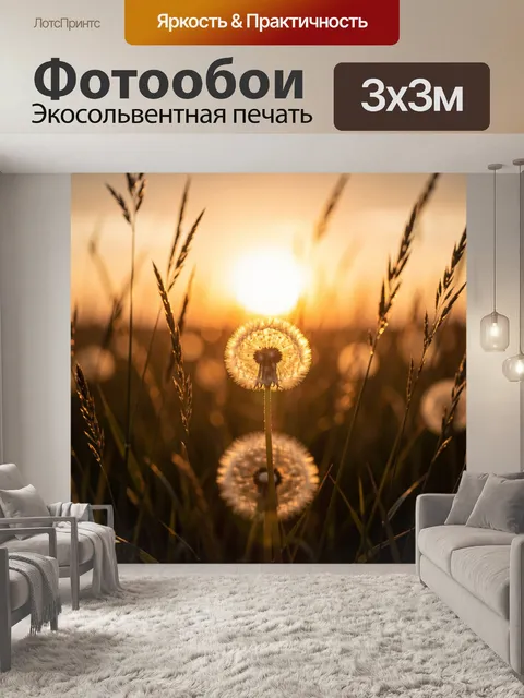 Фотообои Одуванчики в поле на закате