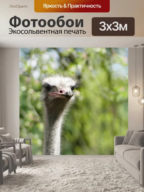 Фотообои Страус