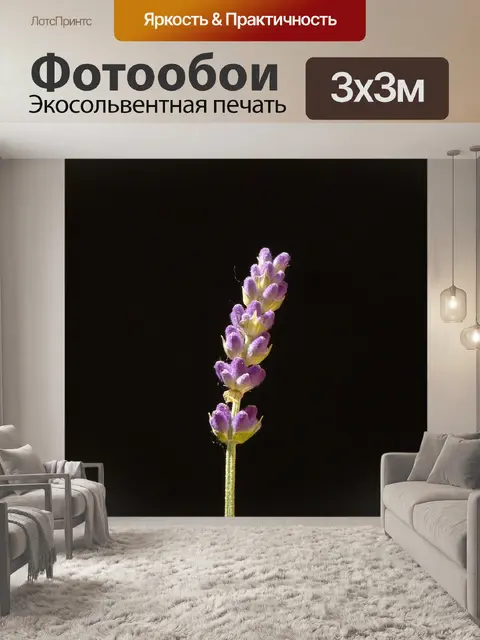 Фотообои Настоящая лаванда