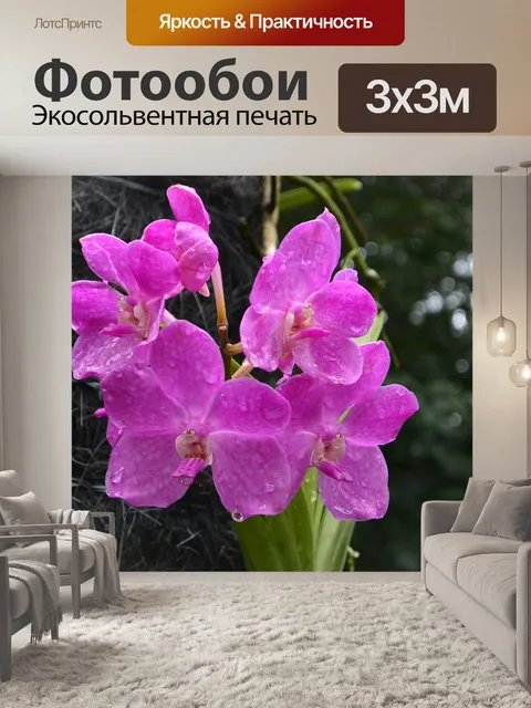 Фотообои Орхидеи