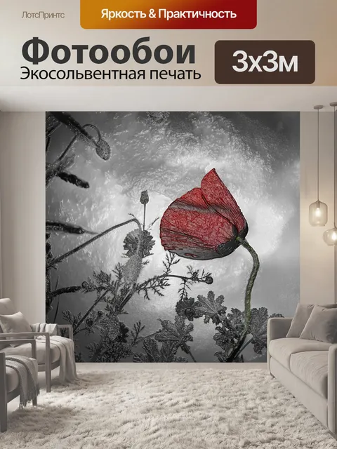Фотообои Мак пластифицированы