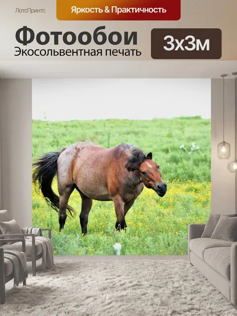 Фотообои Коричневая лошадь качает головой