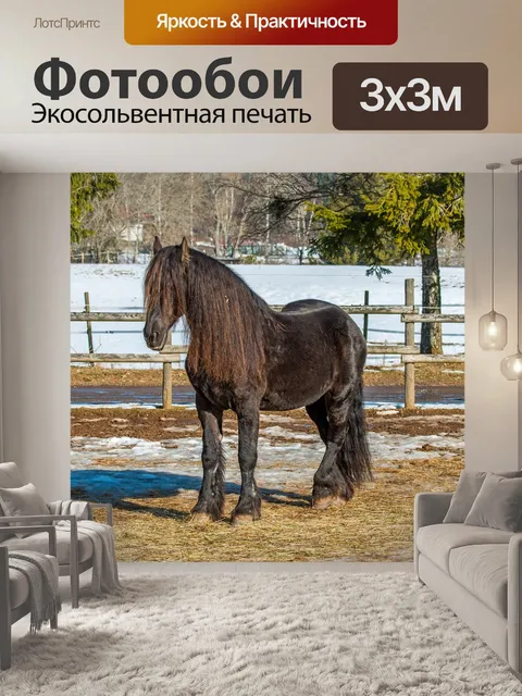 Фотообои Черный лес