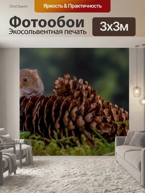 Фотообои Урожай мышь
