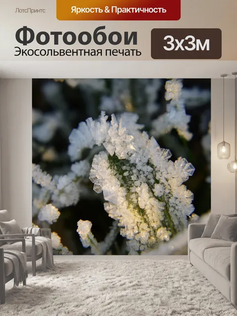 Фотообои Фрост