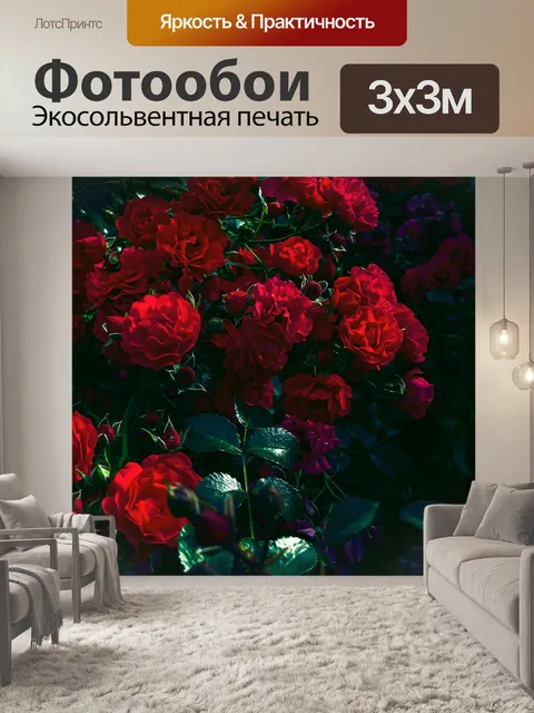 Фотообои Розы