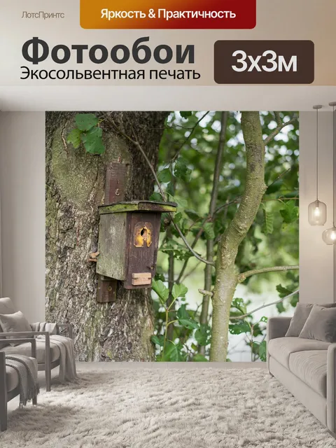 Фотообои Птичий домик