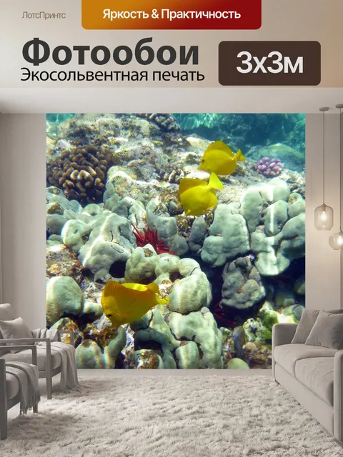 Фотообои Коралл