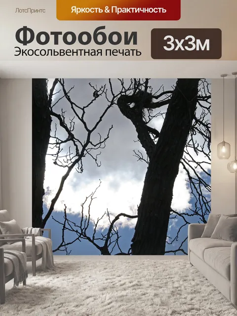 Фотообои Яркое облако за деревом