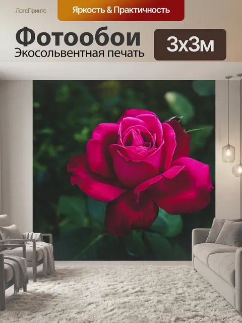 Фотообои Розовый