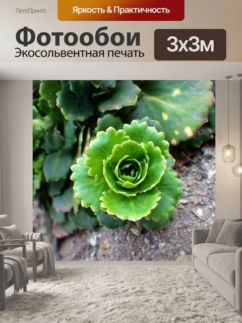 Фотообои Спокойный завод