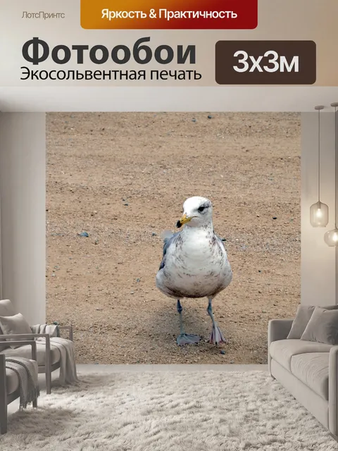 Фотообои Чайка Прогулки на песке