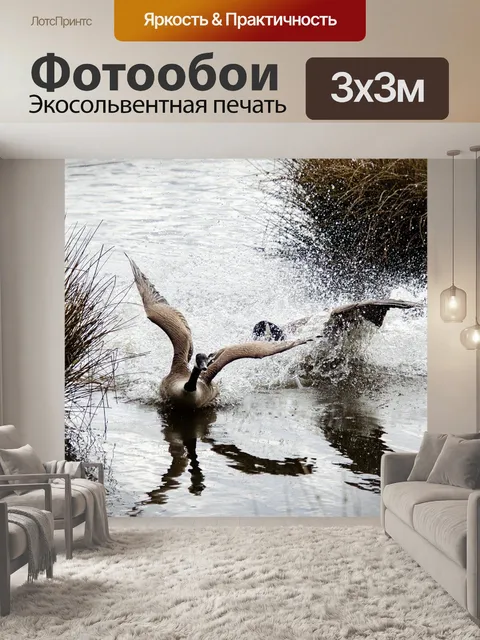 Фотообои Канадские гуси