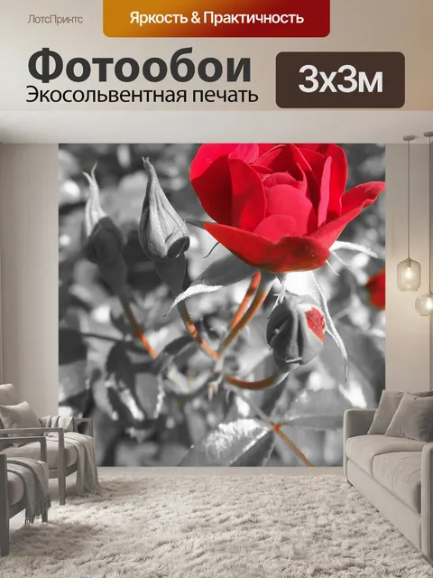 Фотообои Красная роза