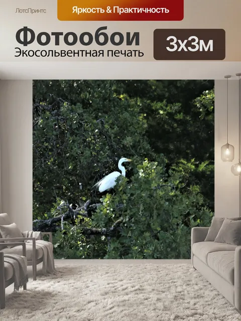 Фотообои Большая белая цапля на дереве