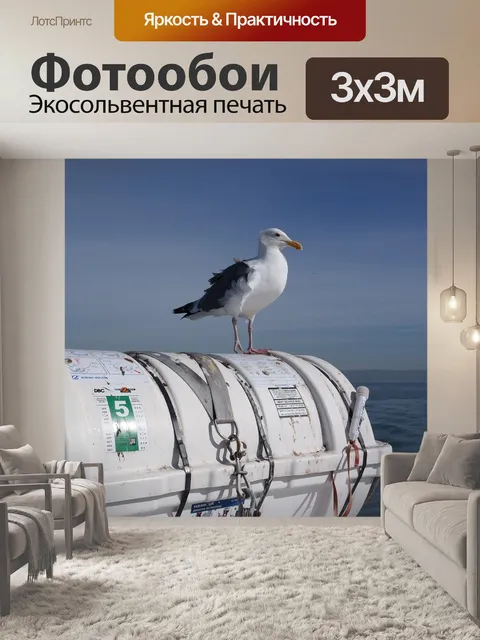Фотообои Чайка