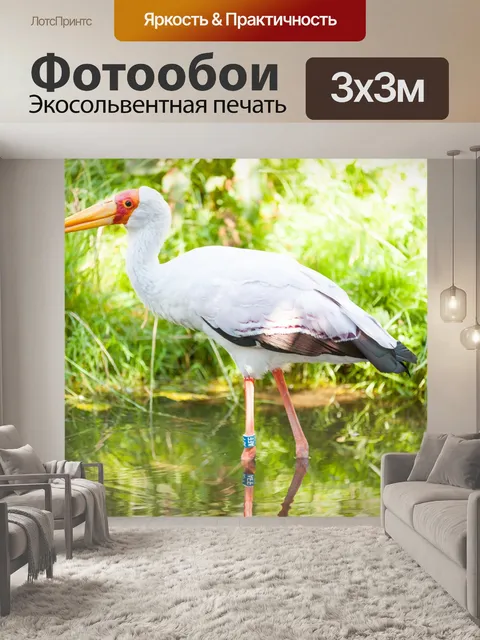 Фотообои Желтый аист