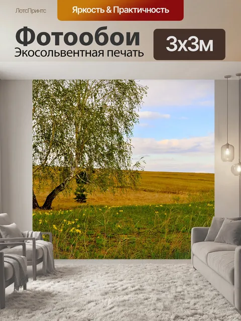 Фотообои Березы в области