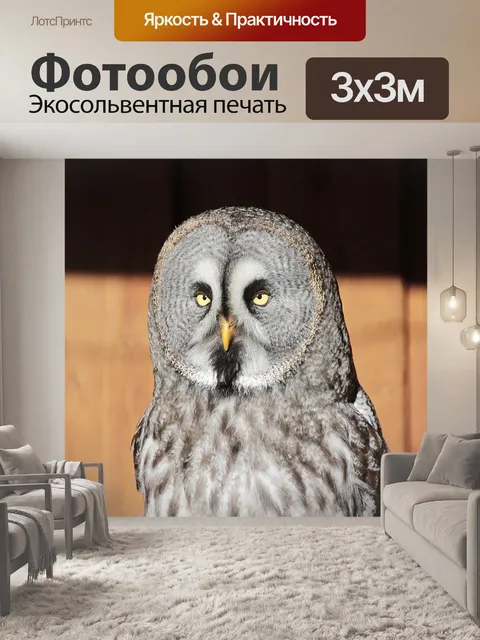 Фотообои Барт сова