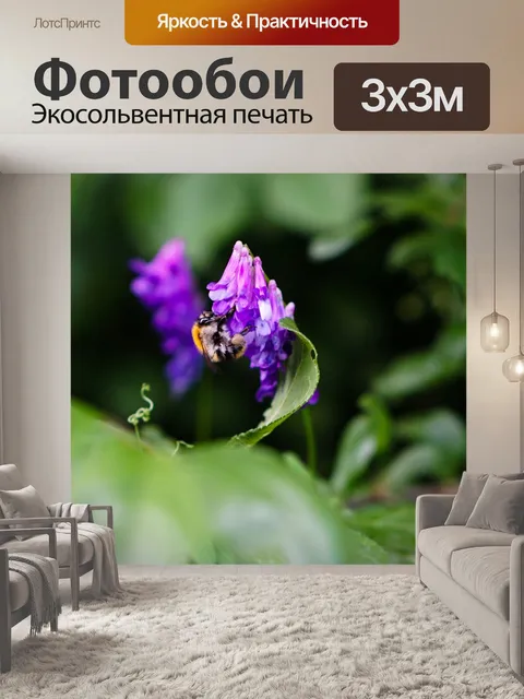 Фотообои Лес