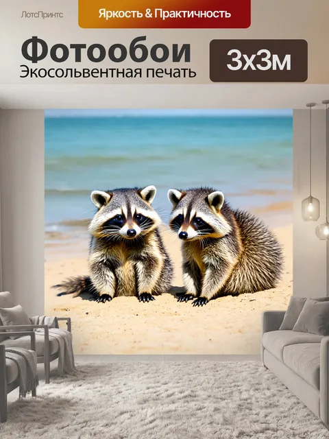 Фотообои еноты, отдыхающие на пляже