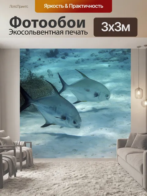 Фотообои Рыбы