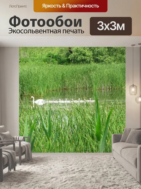 Фотообои Лебедь
