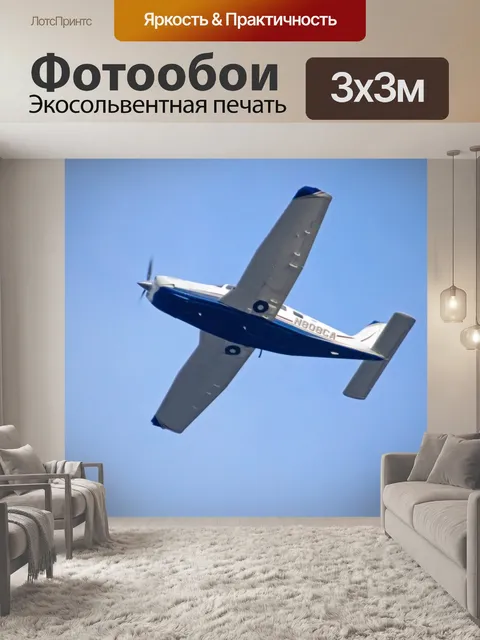 Фотообои Малый самолет
