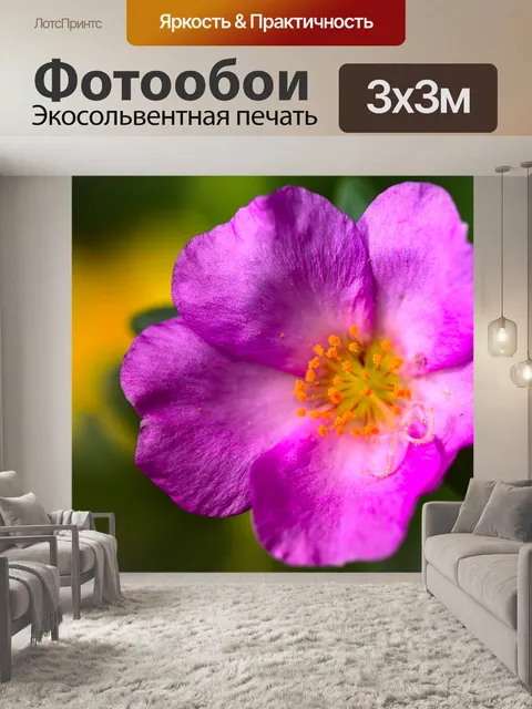 Фотообои Портулак