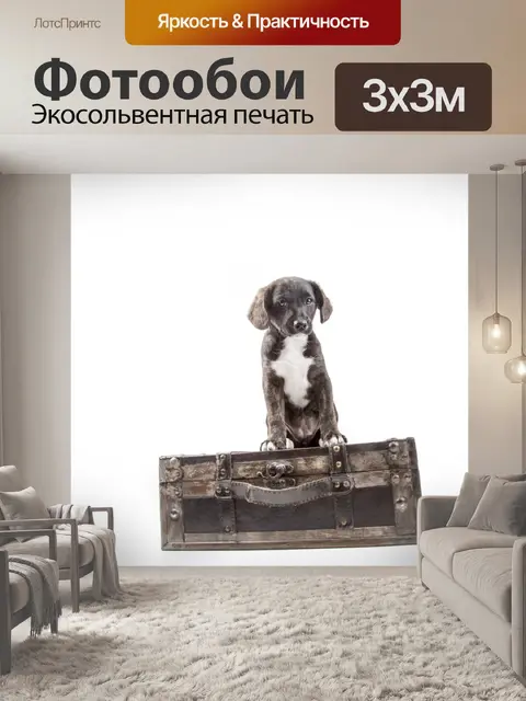 Фотообои Щенок с чемоданом