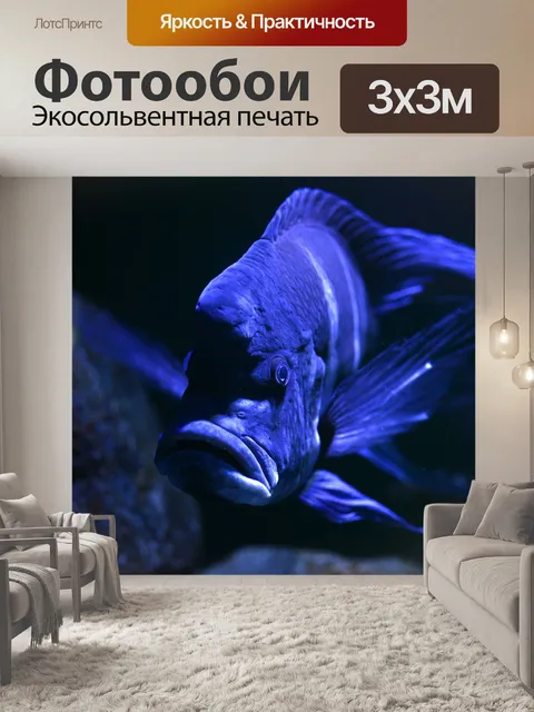 Фотообои Рыбы