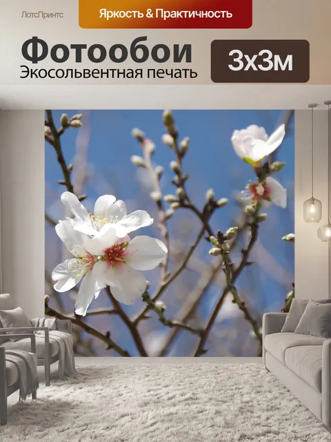 Фотообои Цветы миндаля на дереве