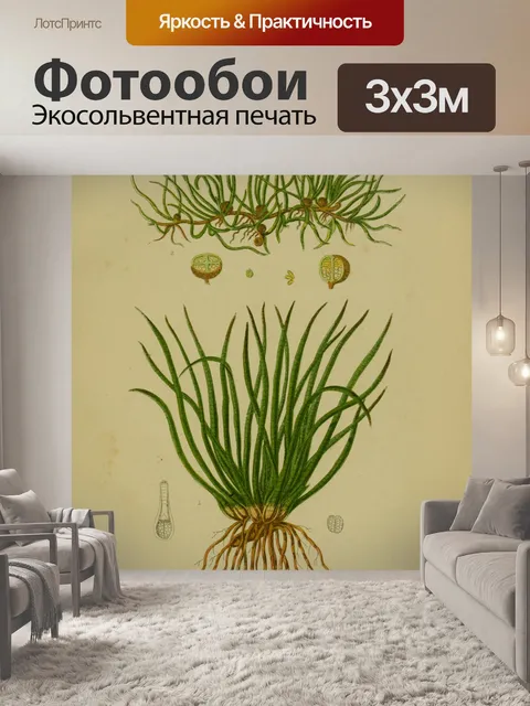 Фотообои Винтажная трава Quillwort
