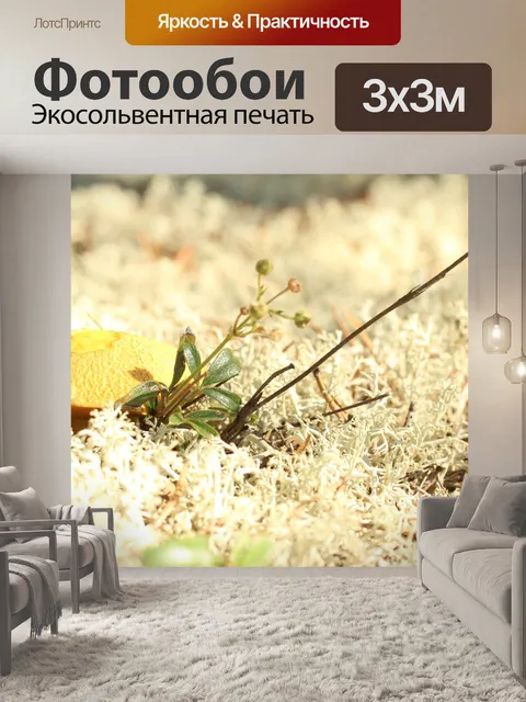 Фотообои Маленький желтый гриб белый лишайник