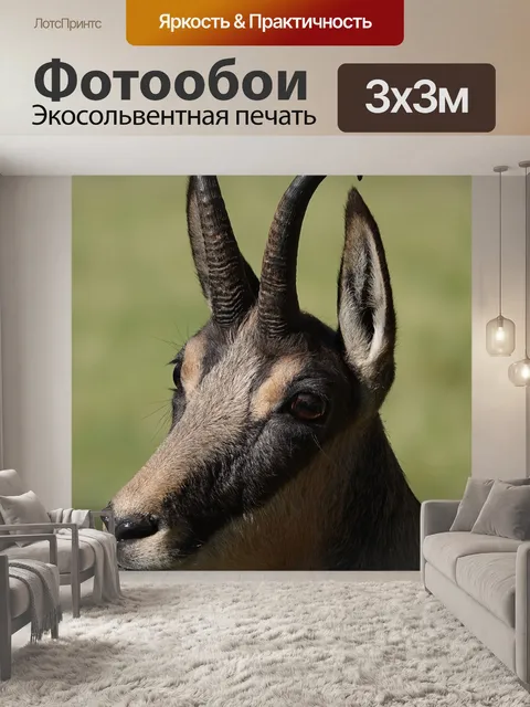 Фотообои Замша